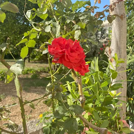 Nikargy Luxury Vakantiehuis *